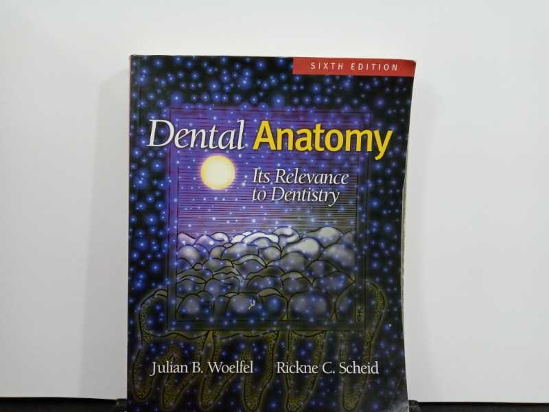 dental anatomy 