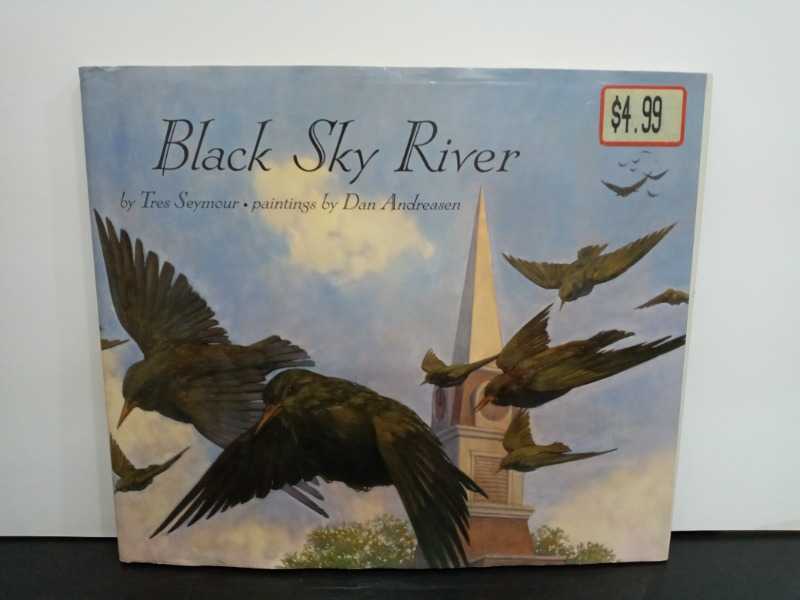 Black Sky River