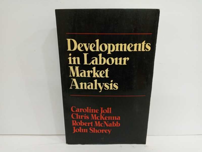 Developments in Labour Market Analysis