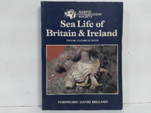 Sea Life of Britain&Ireland