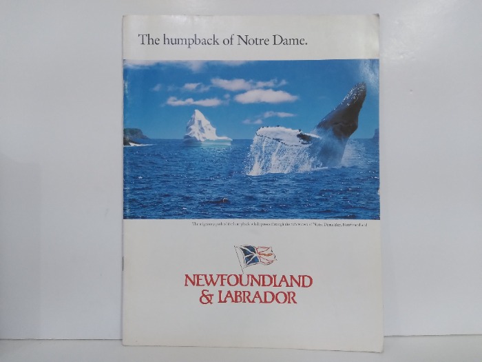 The humpback of Notre Dame