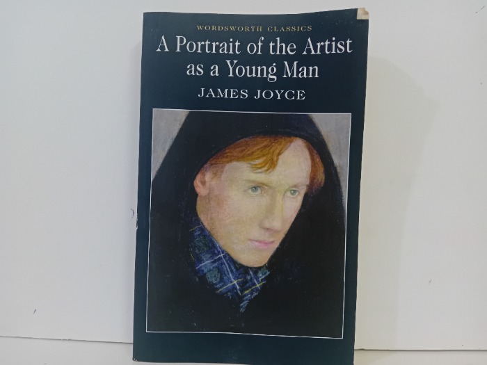 The Portrait Of An Artist As A Young Man fastorder.store