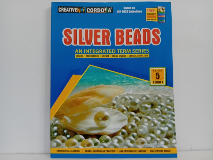 SILVER BEADS 5