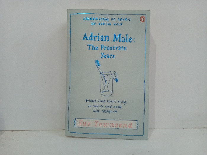 Adrian Mole The Prostrateyears