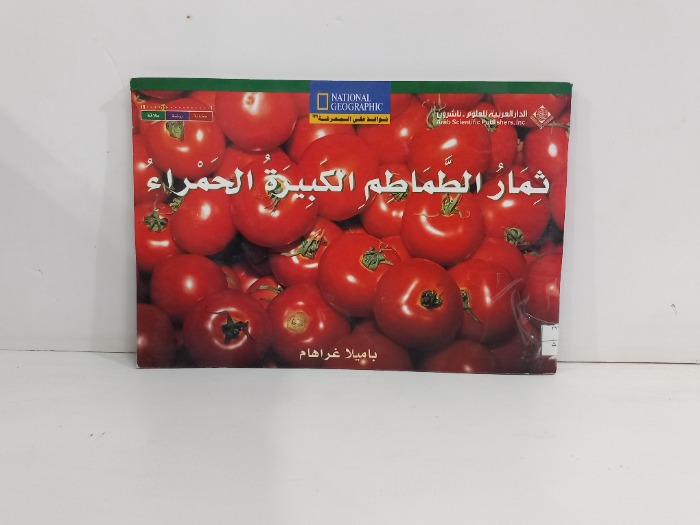 ثمار الطماطم الكبيرة الحمراء 
