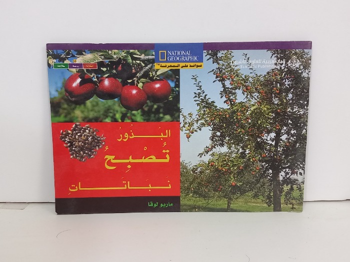 البذور تصبح نباتات