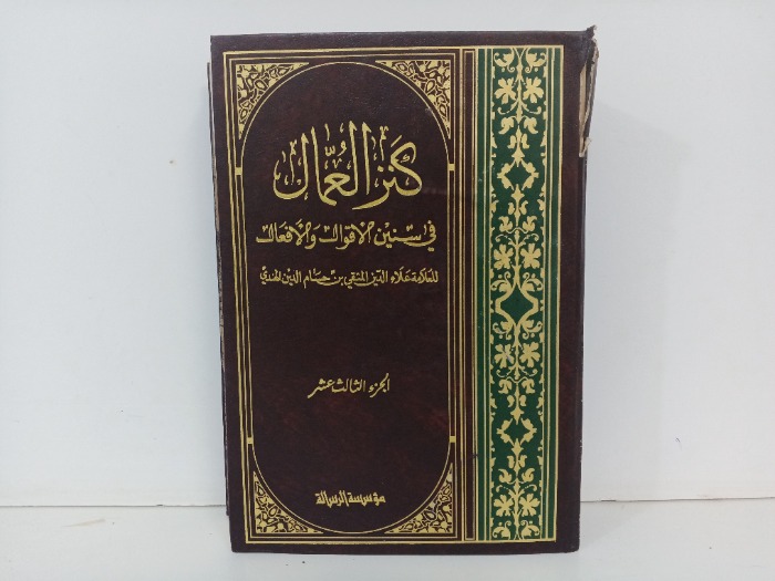 كنز العمال ج13