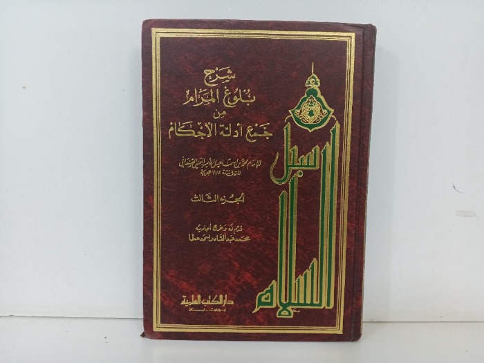 شرح بلاغ المرام ج3