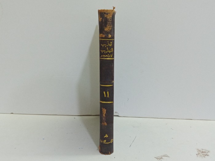تهذيب التهذيب لابن حجر ج11