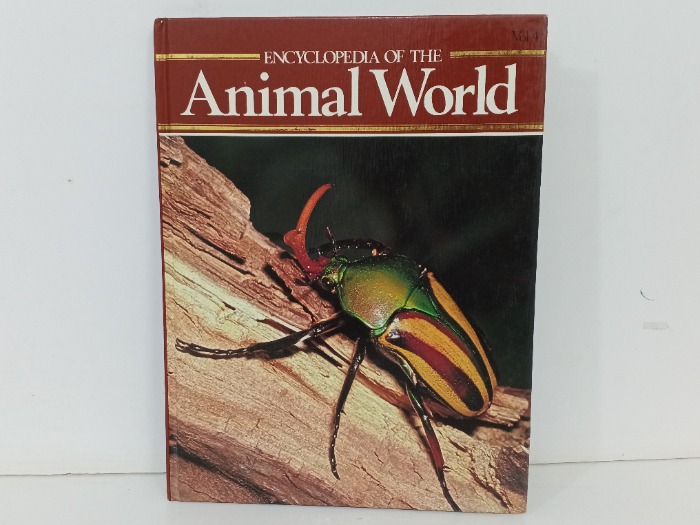 Animal world 