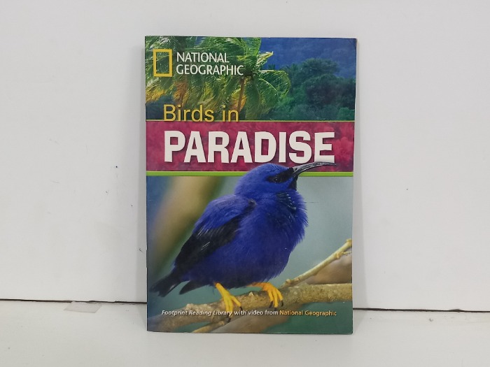 Birds in PARADISE