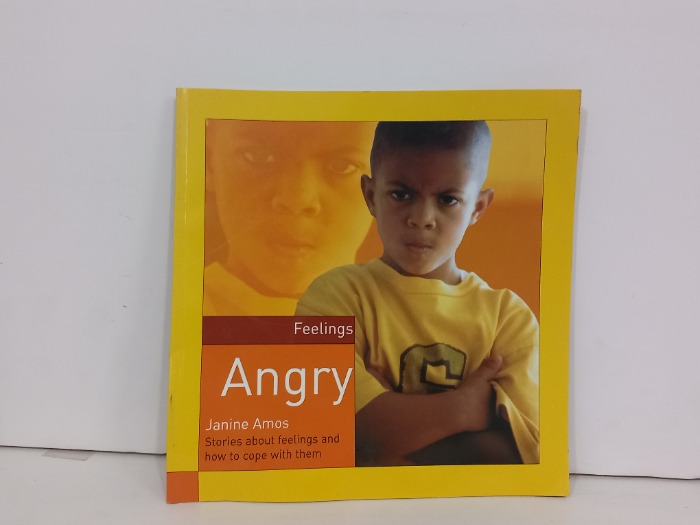  Feelings Angry