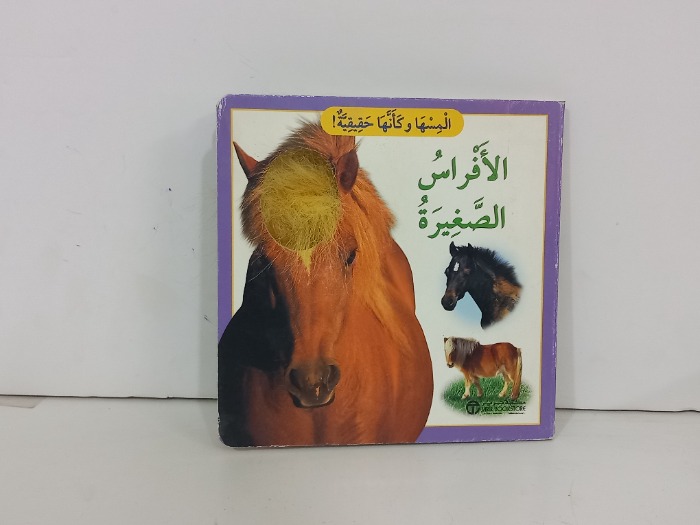 الافراس الصغيرة