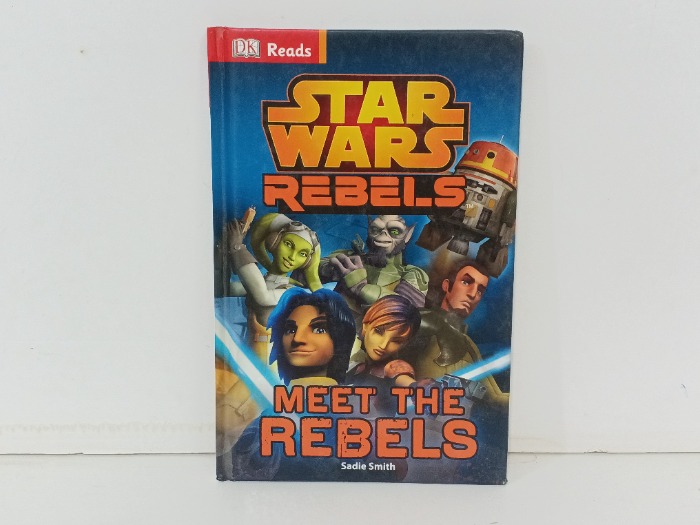 Meet the REBELS