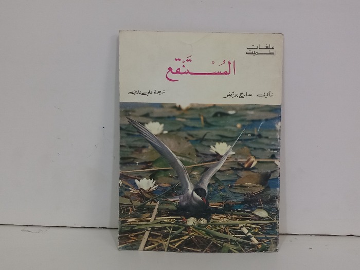 المستنقع