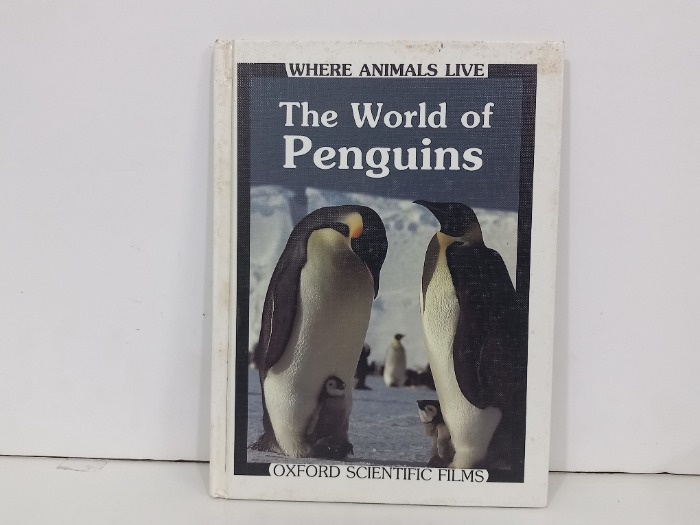 The world of penguins