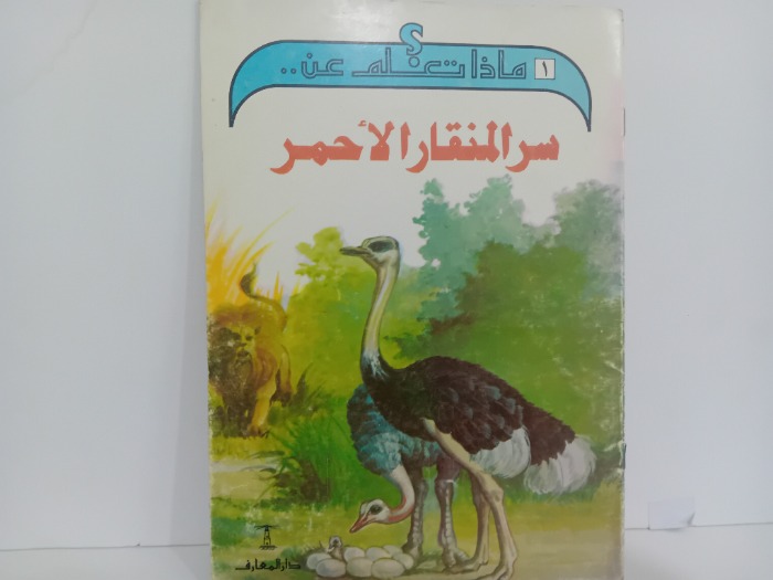 سر المنقار الاحمر