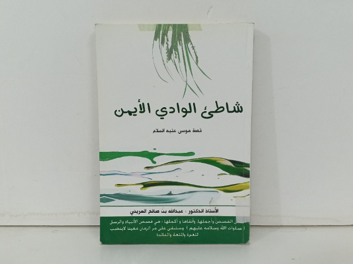 شاطئ الوادي الايمن