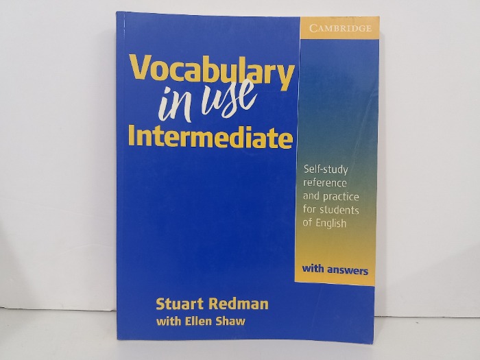 Vocabulary in wye Intermediate