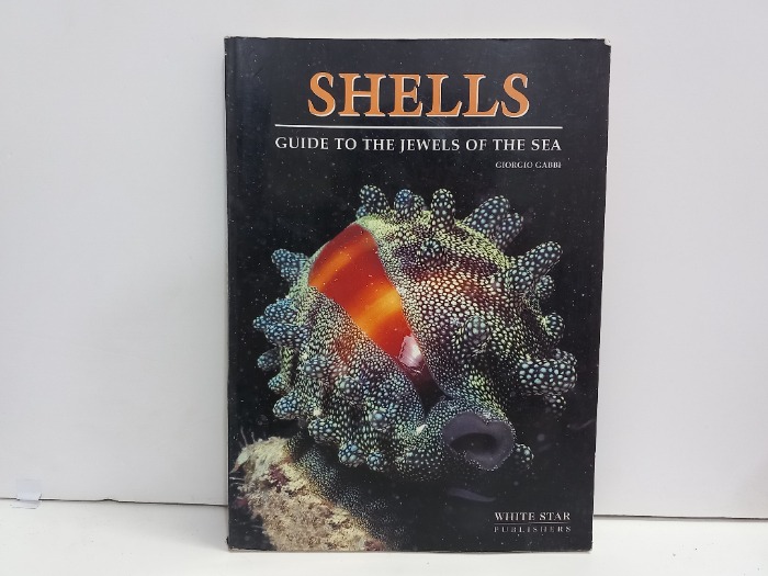 SHELLS