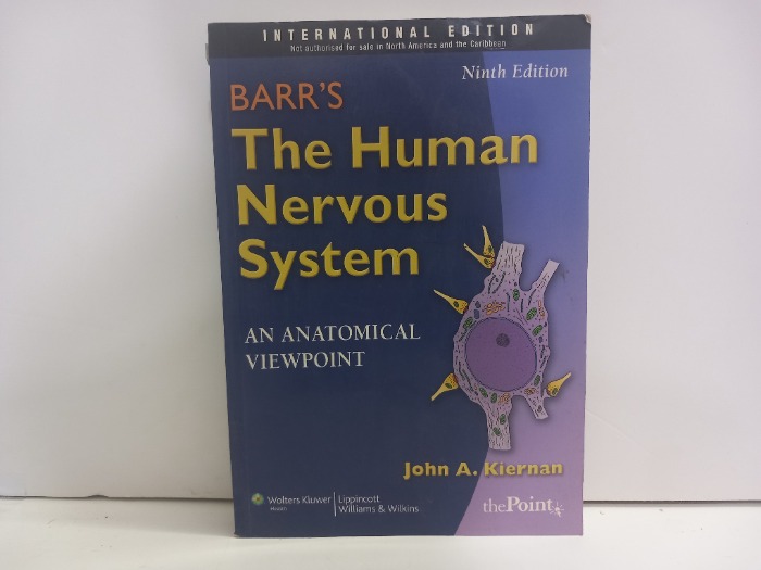 The Human Nervous system