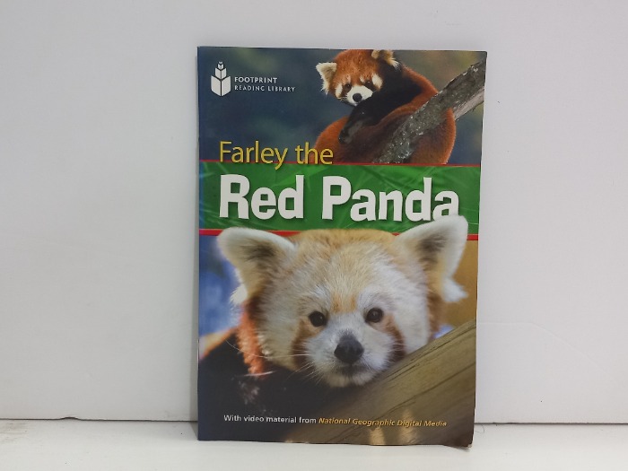 Red panda