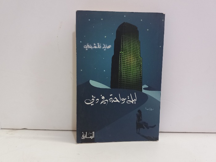 ليلة واحدة في دبي