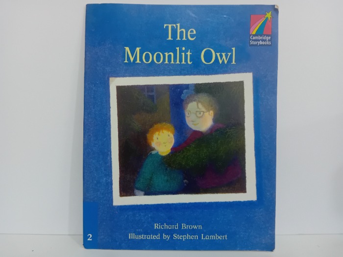 The Moonlit Owl