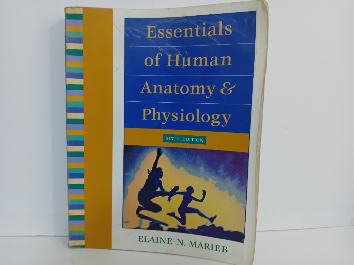 Essentials of Human Anatomy and Physiology