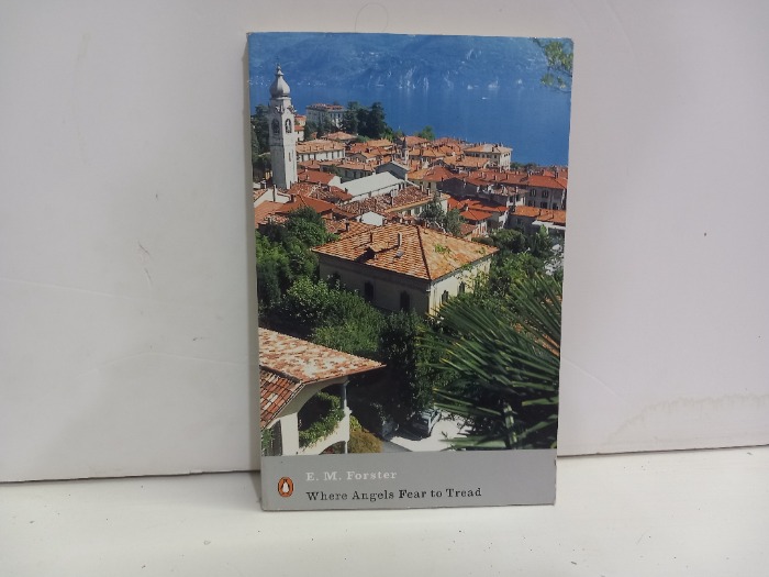 Where Angels fear to Tread