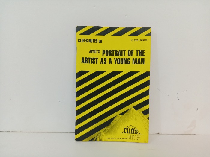 PORTRAIT OF THE ARTIST AS A YOUNG MAN