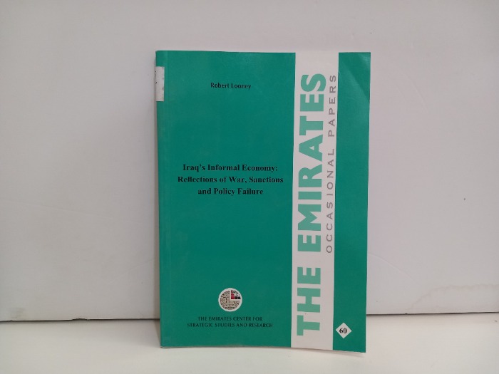 Iraqs Informal Economy Reflections