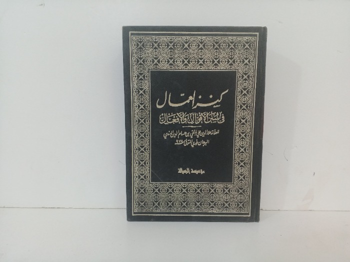 كنز العمال ج13