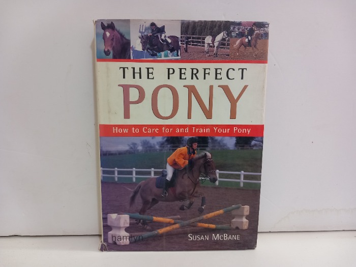 THE PERFECT PONY