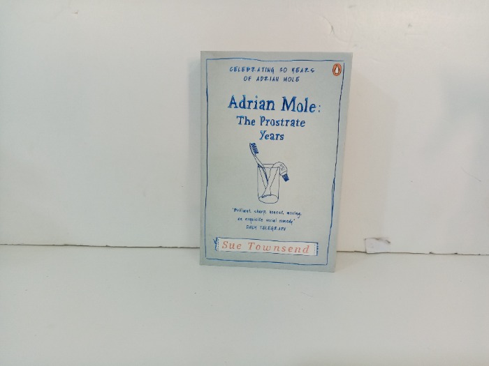 Adrian Mole  The Prostrate Years