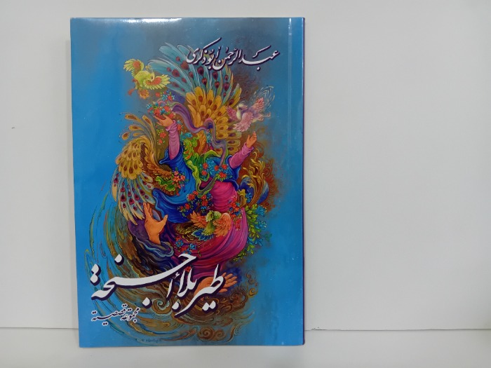 طير بلا اجنحة