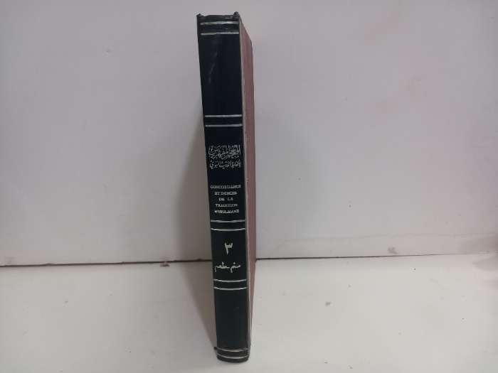 المعجم المفهرس ج3