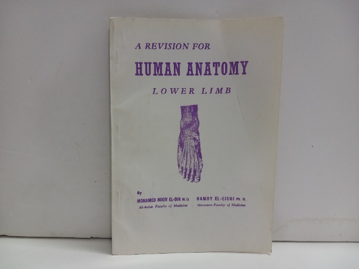 HUMAN ANATOMY LOWER LIMB