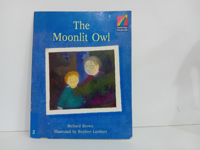 The Moonlit Owl