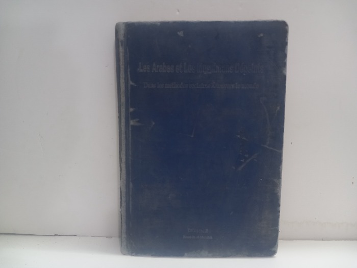 Les Arabes et Les Musulmans Depeints