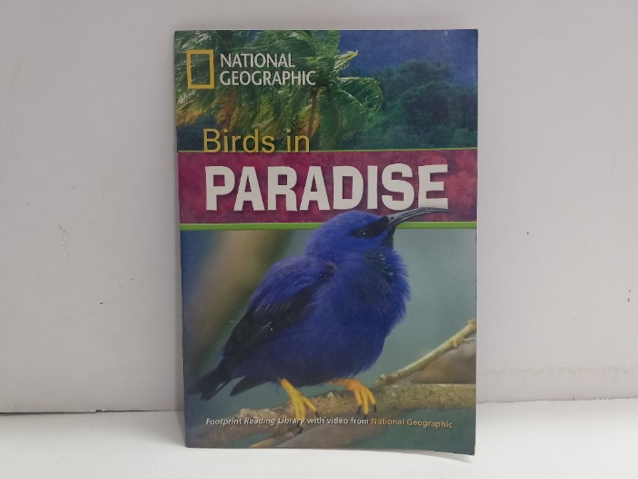 Birds in PARADISE