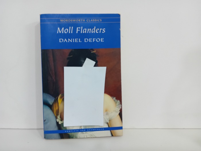 Moll Flsnders
