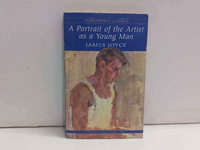 A Portrait of the Artist as a Young Man