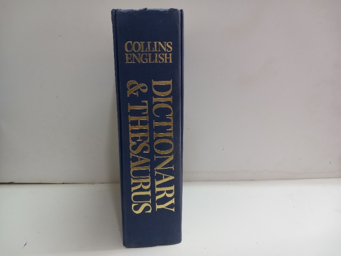 DICTIONARY AND THESAURUS