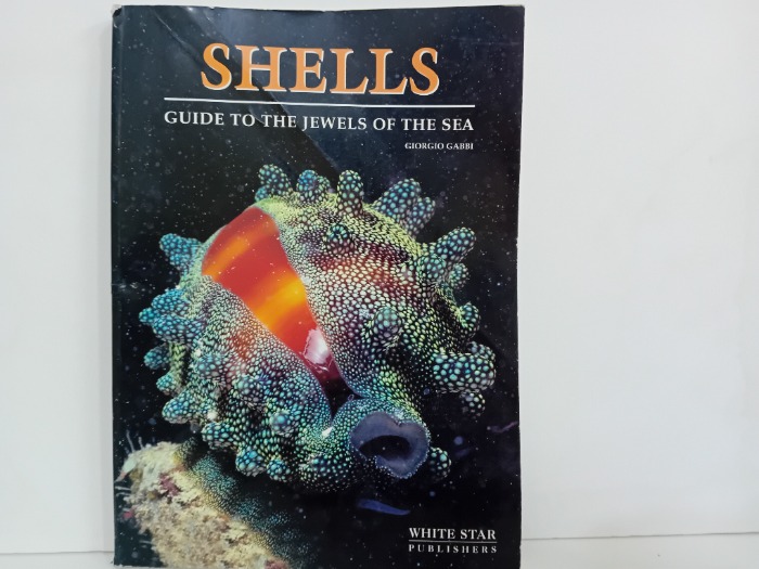 SHELLS GUIDE TO THE JEWELS OF THE SEA