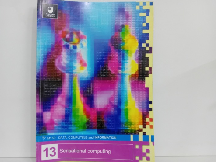 13Sensational computing