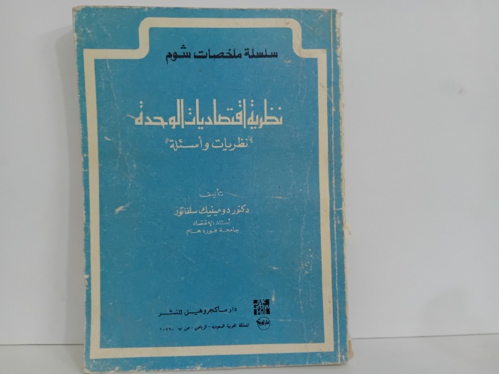 نظرية اقتصاديات الوحدة