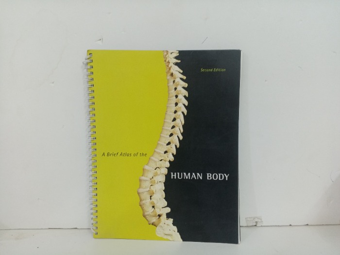 Human Body